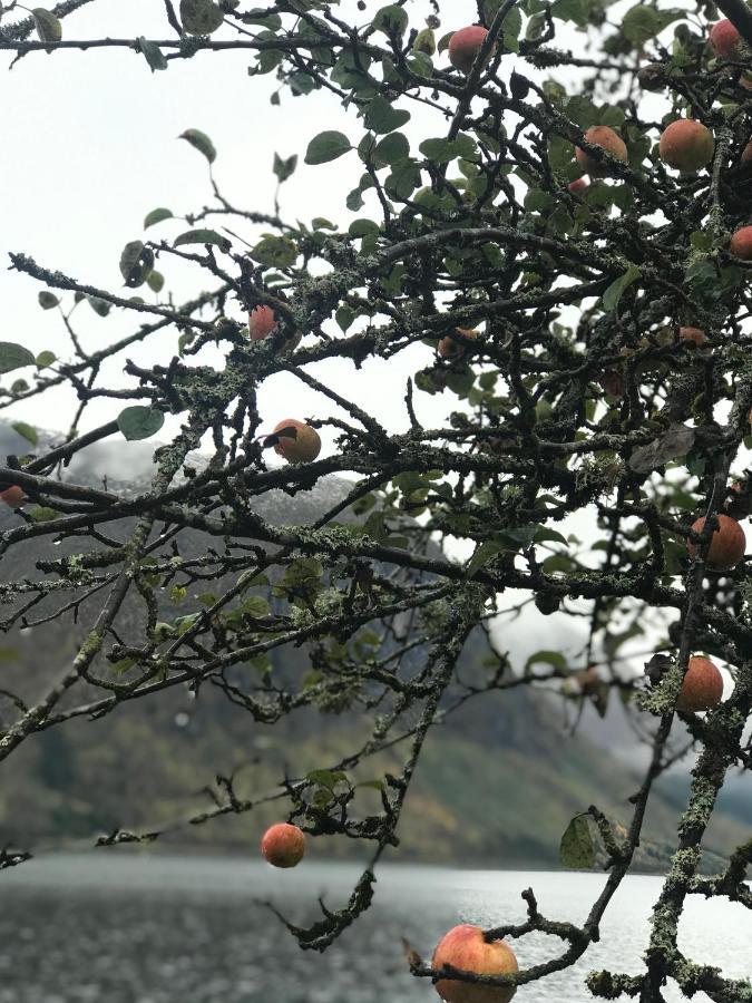 Årdal Lake View Holiday Stay In Jolster מראה חיצוני תמונה